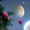 kyaw.gyi32717