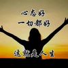 jenshe22