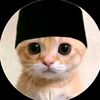 dims_bugis