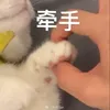 kzy_le