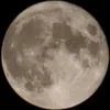 f06320206