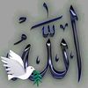 yousoup.eman