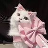 cats_memes_007