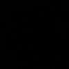 nefzz12