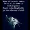 mai.lang.thang.87