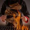 bimboshellsbbq
