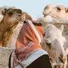 ahmed4340536