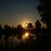 viku_sik_...2