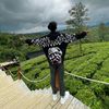 alfahrezy230_