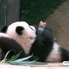 thiphuongg_15