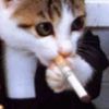 super_cat25