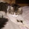 mermeladauwu5