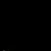 vnp.n