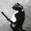 mstiawan_