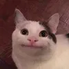 bothano