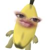 .thishrl