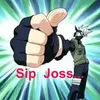 sip.joss