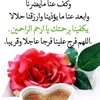 imanalmohamad845