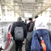 550zzz
