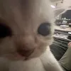 ntzk77