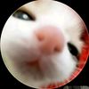 youmms_1