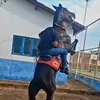 luangabriel499
