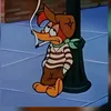 jrz1nn2