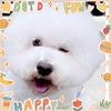 puppyloveest