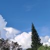 user15658202_