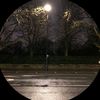 iibtx_11
