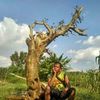 rudiern
