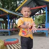 sarinir