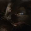 marsblack637
