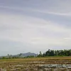 rynyn19322