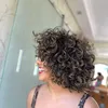 ferrpimentel_