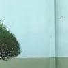 abcdfu____