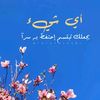 hanaaljamal325