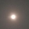 rokki_88