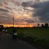 _faiss05