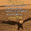 manar139111