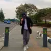 turtlechik_