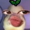 aulsukamenabungg