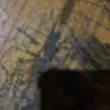hggiu79