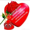 user8621641557360