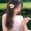 ilysmyutaokkotsu