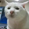lhrrrta