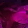 n0tmiaaaa
