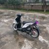 renzz_245