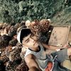 bobyardiansyah791