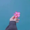 kusukahitam